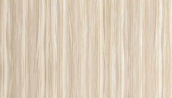 a9-4606-v