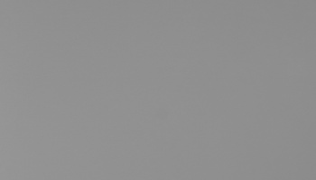 c3-8119-l_1093305298