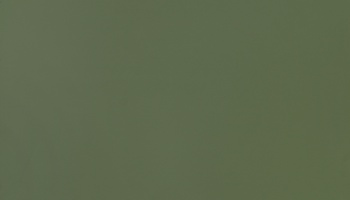 c3-8120-l_1552223194