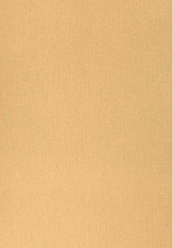 c2-6966-n
