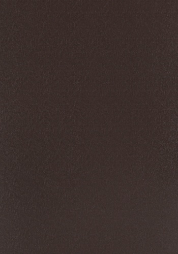 c3-8115-l_1090787218