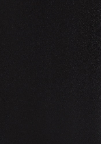 c3-8117-l_226680874